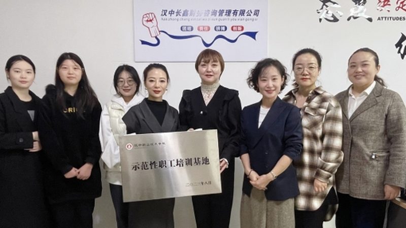 IPO咨询前期准备：内控整改的关键步骤与注意事项