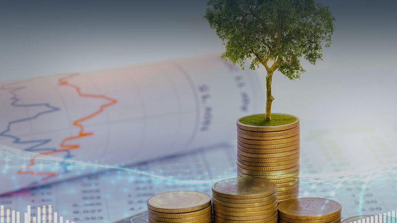 商业计划书收费标准，揭秘背后的定价逻辑